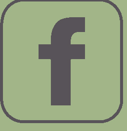 Follow Gilly Bean Flowers on Facebook